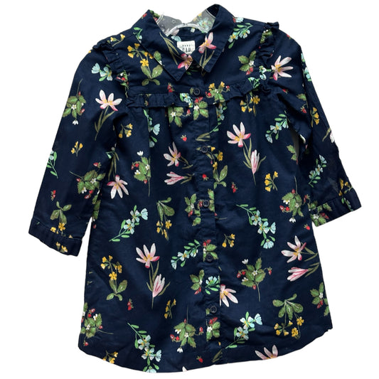 Baby Gap 2 Dress